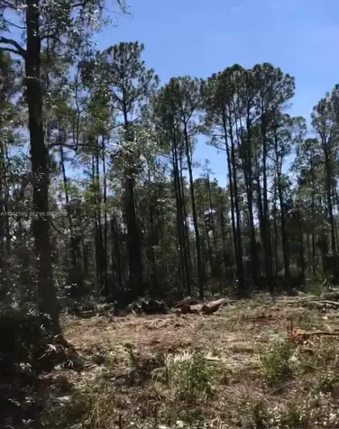 216 Marie Avenue Other City - In The State Of Florida FL 32139
