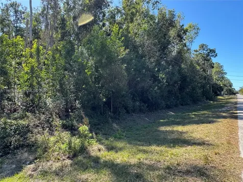 Unincorporated Spanish Oaks Lane Other City - In The State Of Florida FL 34119