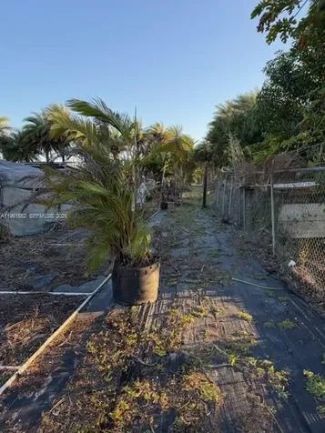 17450 SW 208th Street Miami FL 33187