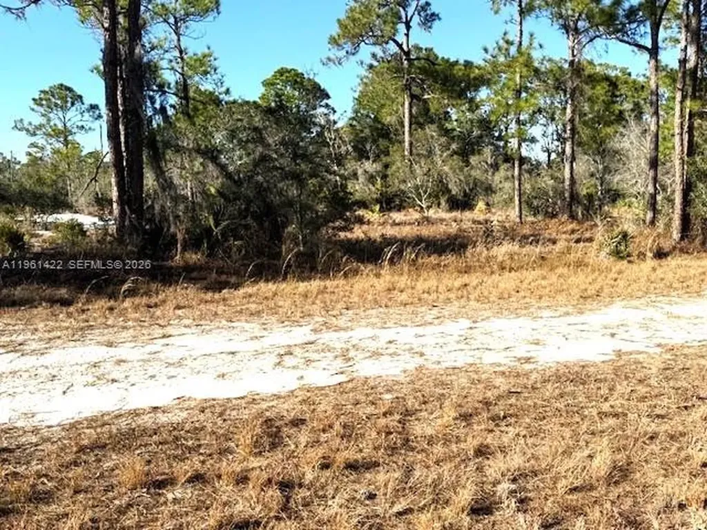 547 Branchwood Avenue Other City - In The State Of Florida FL 33852