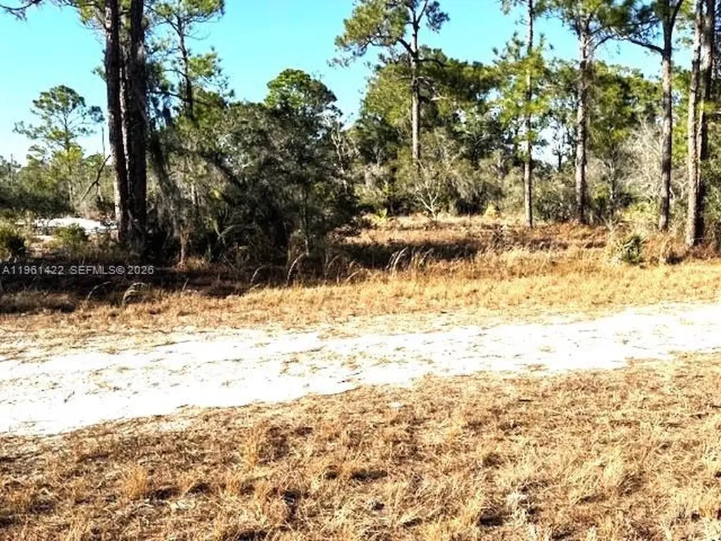 547 Branchwood Avenue Other City - In The State Of Florida FL 33852