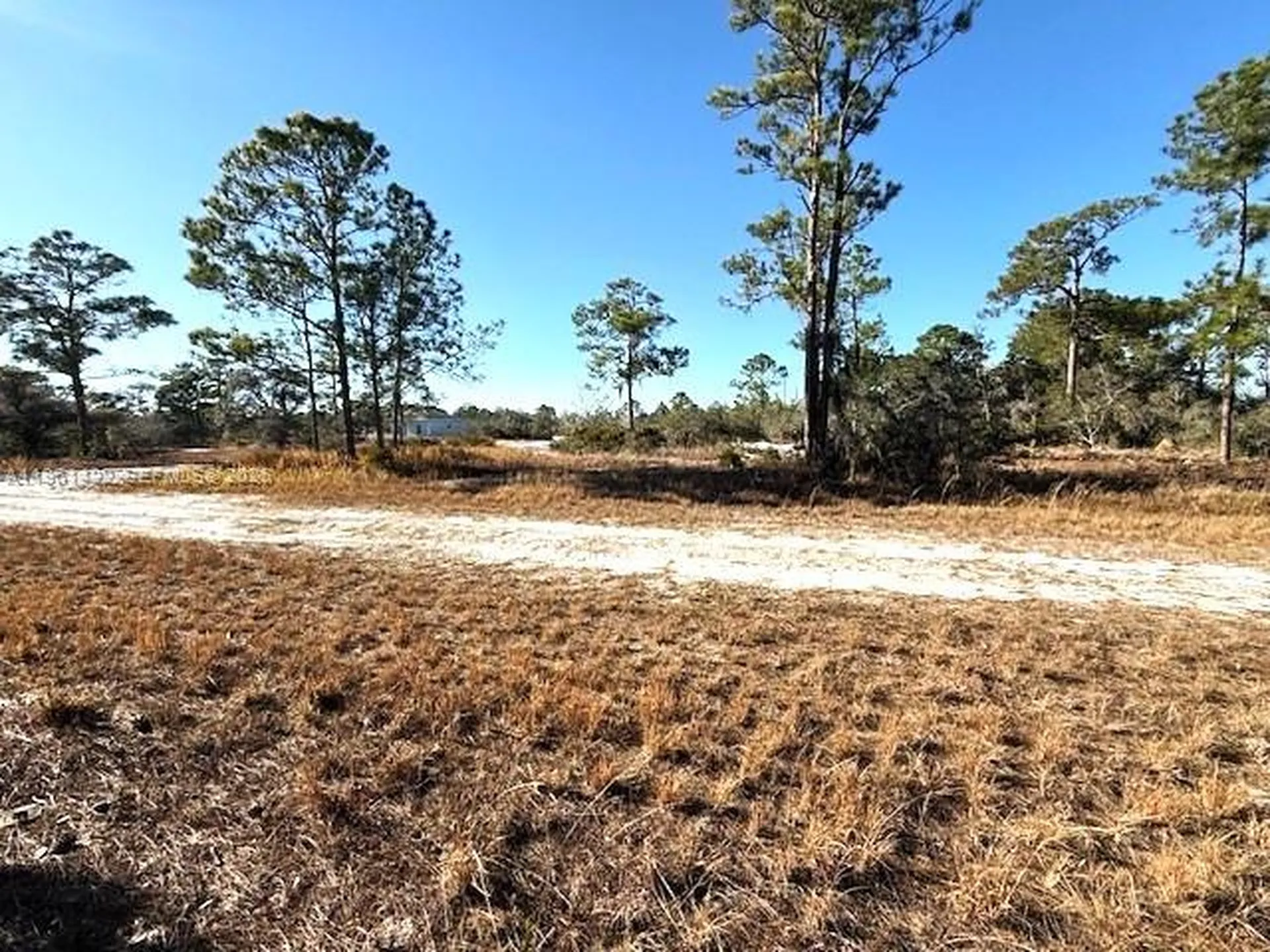 547 Branchwood Avenue Other City - In The State Of Florida FL 33852