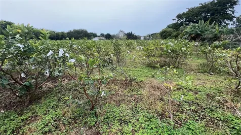 Unincorporated Dade FL 33187