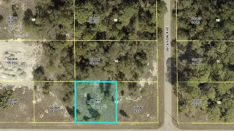 2805 E 16 Street Lehigh Acres FL 33972