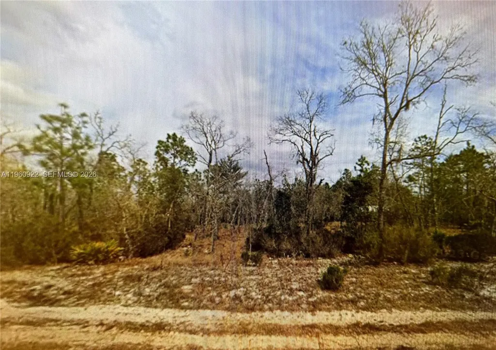 00 Hudson Street Palatka FL 32148