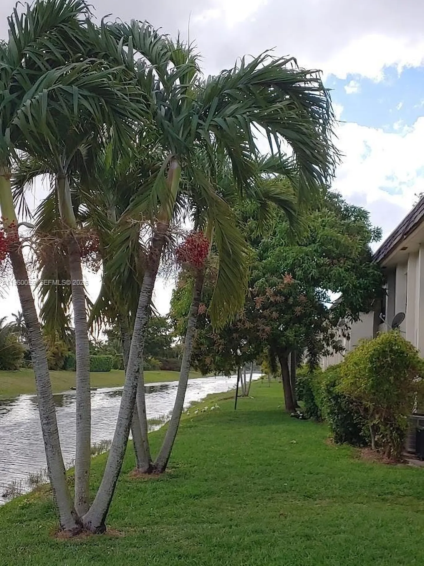 11128 Royal Palm Boulevard Coral Springs FL 33065