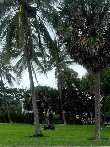 170 Celestial Way Juno Beach FL 33408