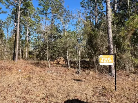 000 Rainbow Lakes Estates Other City - In The State Of Florida FL 34431
