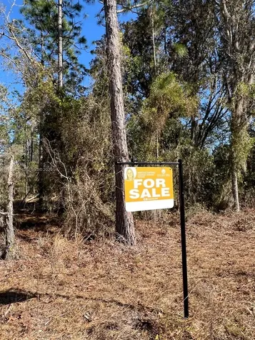 000 Rainbow Lakes Estates Other City - In The State Of Florida FL 34431