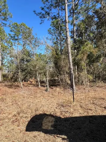 000 Rainbow Lakes Estates Other City - In The State Of Florida FL 34431