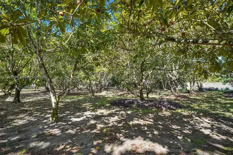 19955 SW 186th Street Miami FL 33187