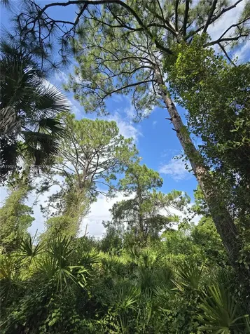 233 Malden Avenue S Lehigh Acres FL 33974