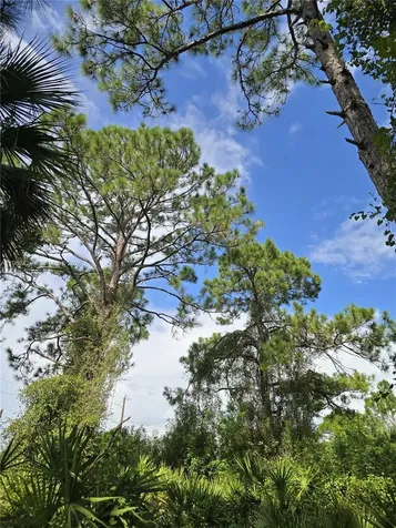 233 Malden Avenue S Lehigh Acres FL 33974