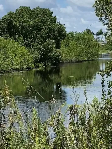 2 NW 13th Place Cape Coral FL 33993