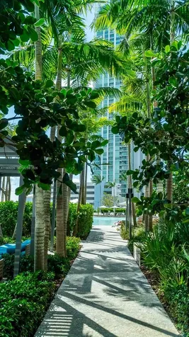 650 NE 32nd Street Miami FL 33137