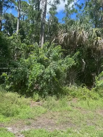 737 Doverbrook Drive Palm Bay FL 32907