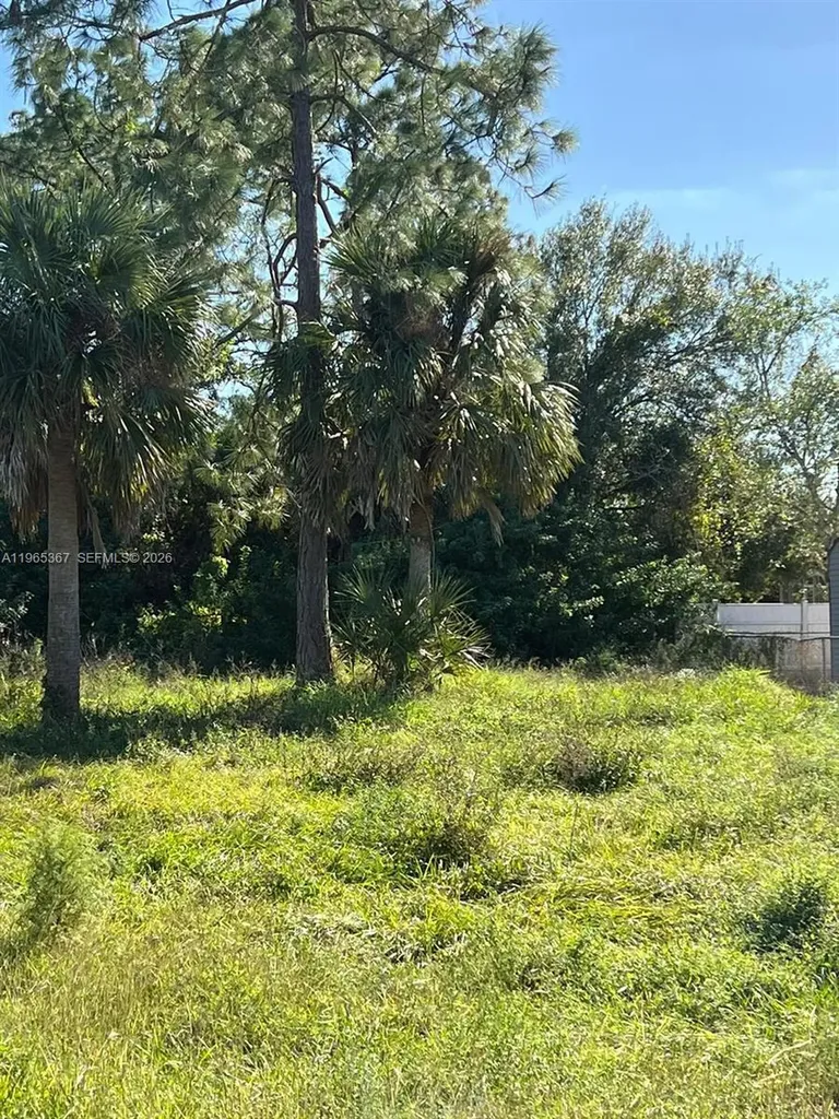 803 W 6th Street Lehigh Acres FL 33792