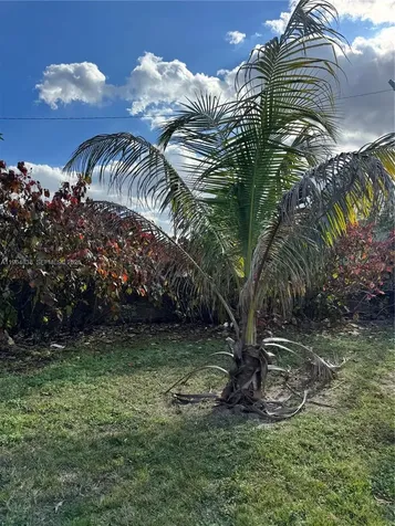 36 NW 151st Street Miami FL 33169