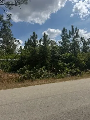 3102 E 10th Street Lehigh Acres FL 33972