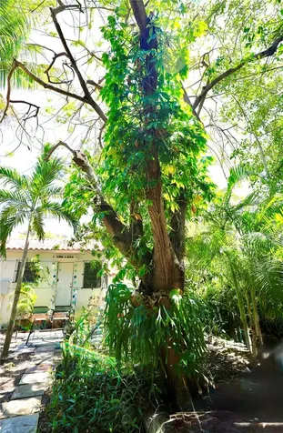 655 NE 82nd Street Miami FL 33138