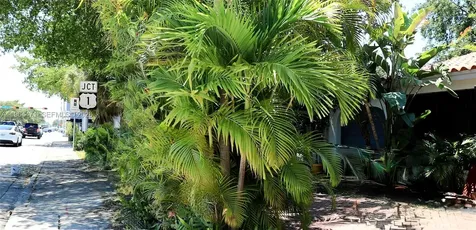 655 NE 82nd Street Miami FL 33138