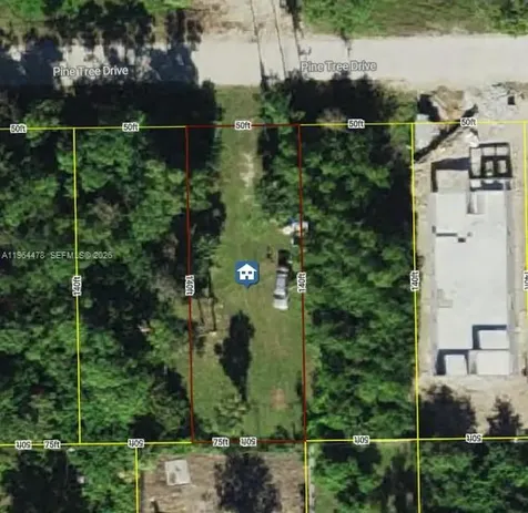 3050 Pine Tree Drive Naples FL 34112