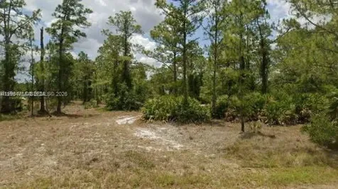 2321 Macarthur Avenue Lehigh Acres FL 33920