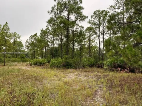 2321 Macarthur Avenue Lehigh Acres FL 33920