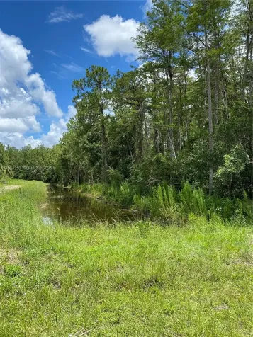 166 Ocean Park Drive Lehigh Acres FL 33972