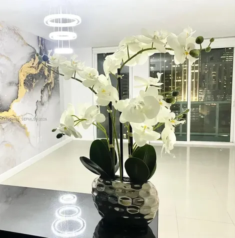 244 Biscayne Boulevard Miami FL 33132