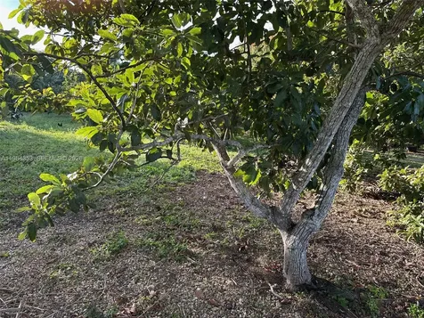 26840 SW 167th Avenue Homestead FL 33031
