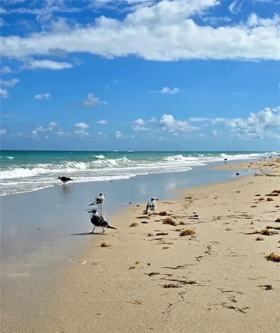 10175 Collins Avenue Bal Harbour FL 33154