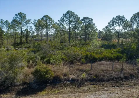 0 S Swinging Trail Other City - In The State Of Florida FL 33935