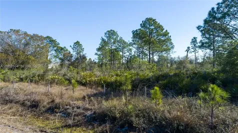 0 S Swinging Trail Other City - In The State Of Florida FL 33935