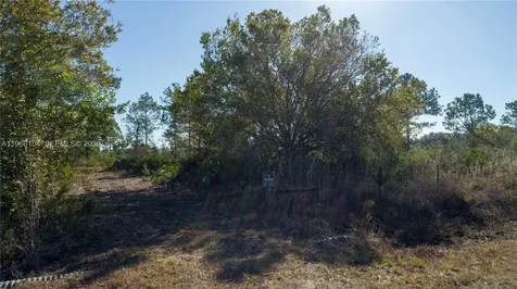 0 S Swinging Trail Other City - In The State Of Florida FL 33935