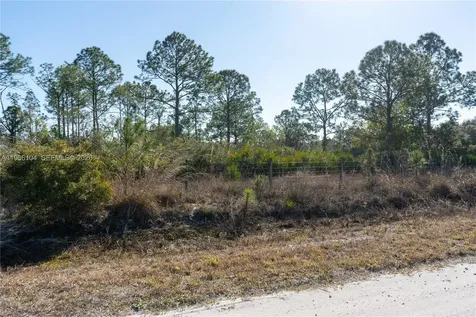 0 S Swinging Trail Other City - In The State Of Florida FL 33935