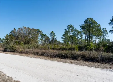 0 S Swinging Trail Other City - In The State Of Florida FL 33935