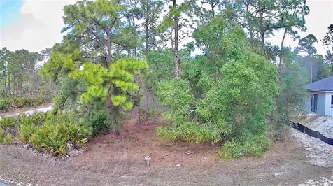 901 E 17th Street Lehigh Acres FL 33972