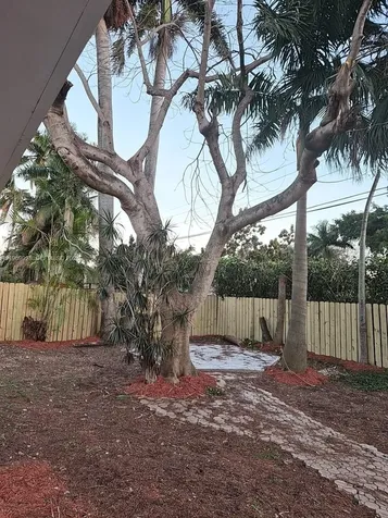 Hollywood FL 33021