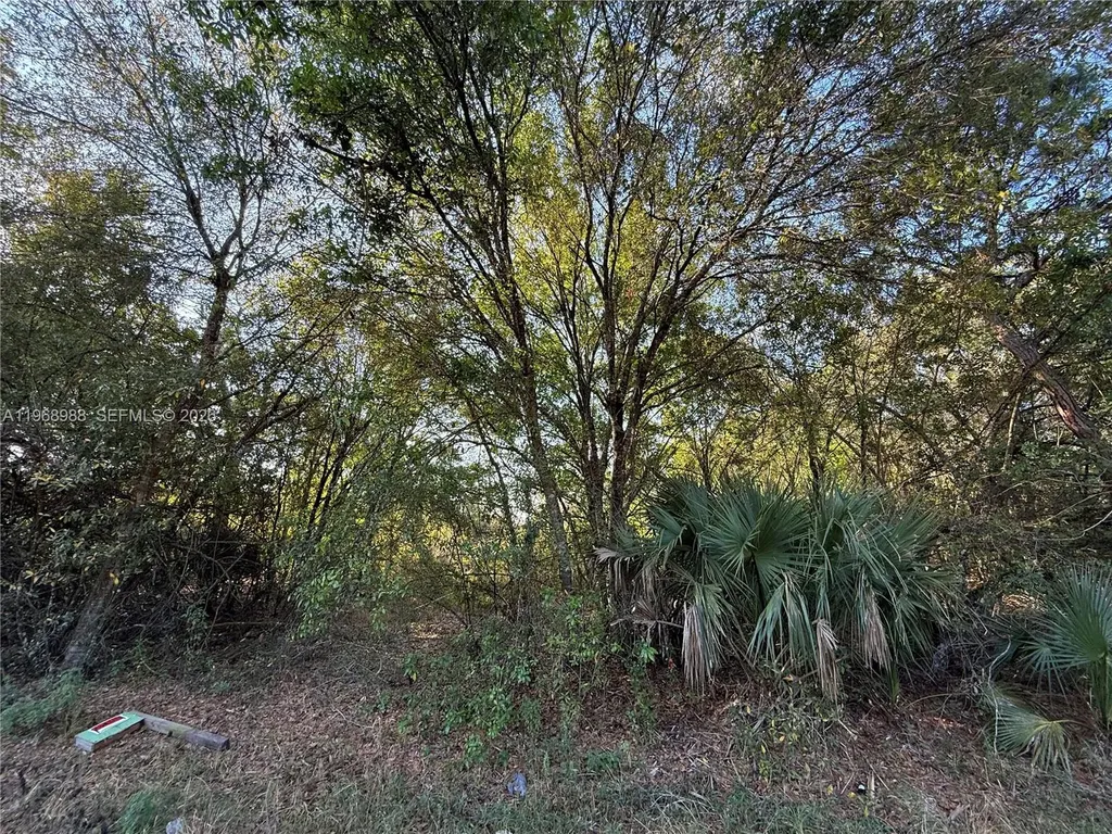 858 Woodland Boulevard Clewiston FL 33440