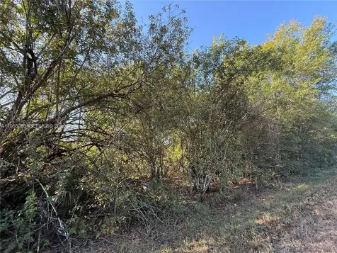 858 Woodland Boulevard Clewiston FL 33440
