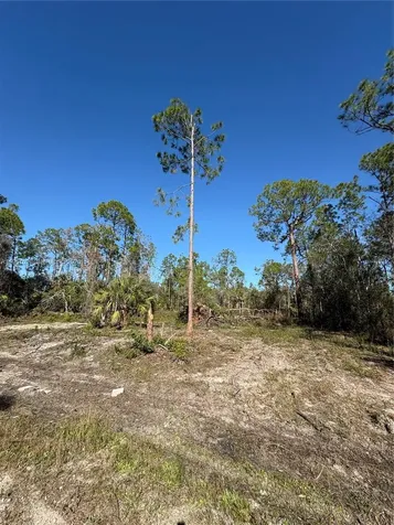 230 Ocean Park Drive Lehigh Acres FL 33972