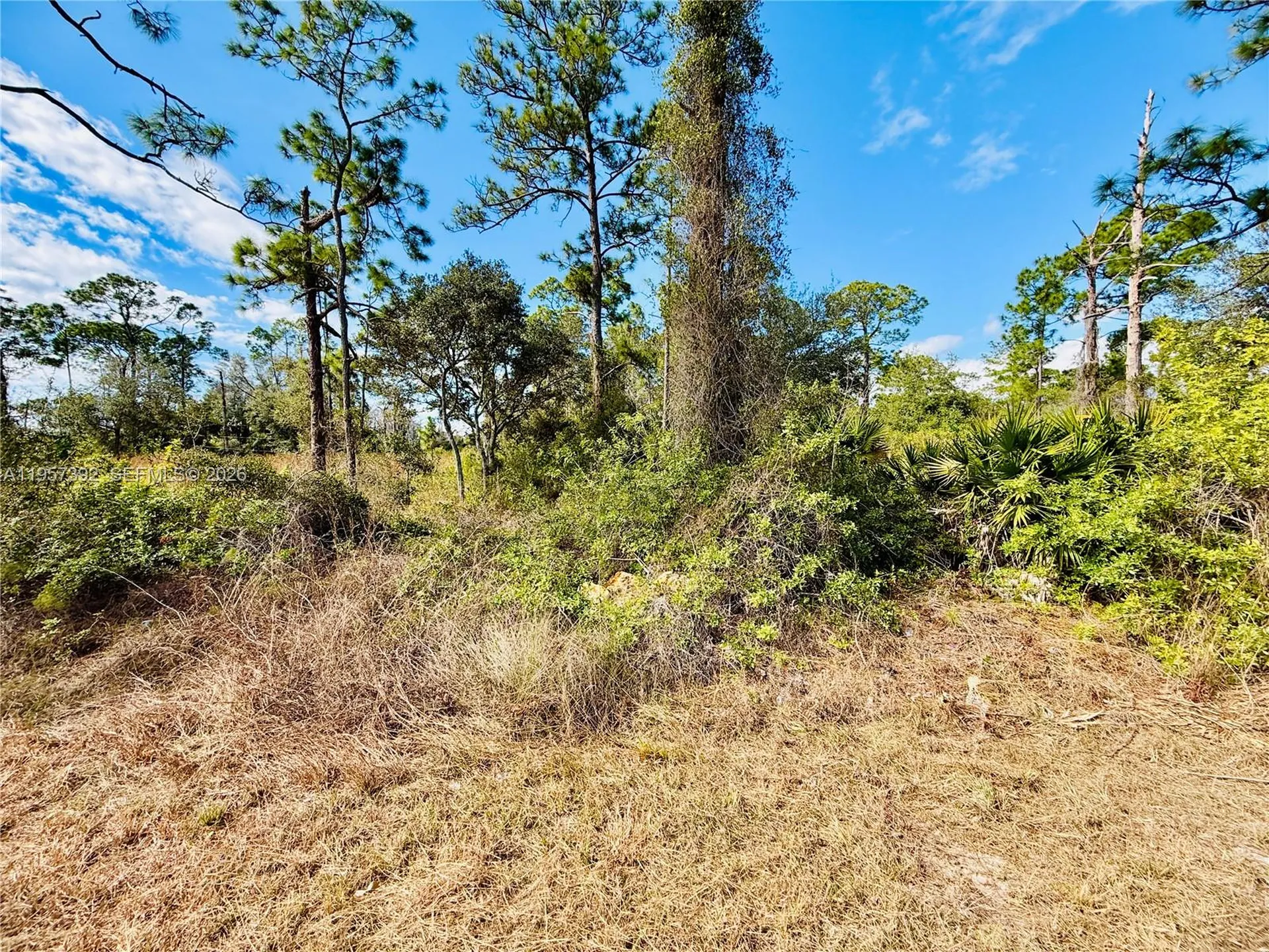 2007 Truman Avenue Other City - In The State Of Florida FL 33920