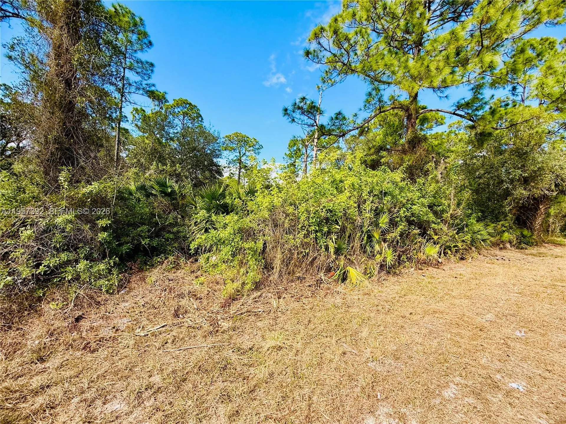 2007 Truman Avenue Other City - In The State Of Florida FL 33920
