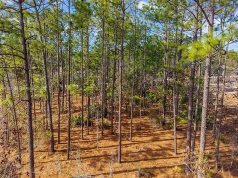 Tbd SW 128th Terrace Road Ocala FL 34481
