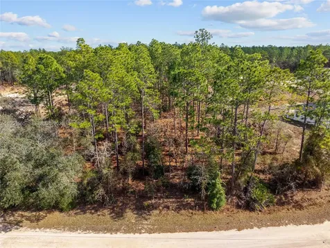 Tbd SW 128th Terrace Road Ocala FL 34481