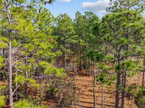 Tbd SW 128th Terrace Road Ocala FL 34481