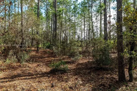 Tbd SW 128th Terrace Road Ocala FL 34481