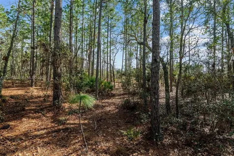 Tbd SW 128th Terrace Road Ocala FL 34481