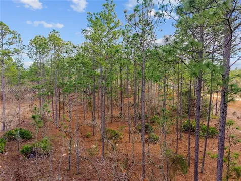 Tbd SW 128th Terrace Road Ocala FL 34481